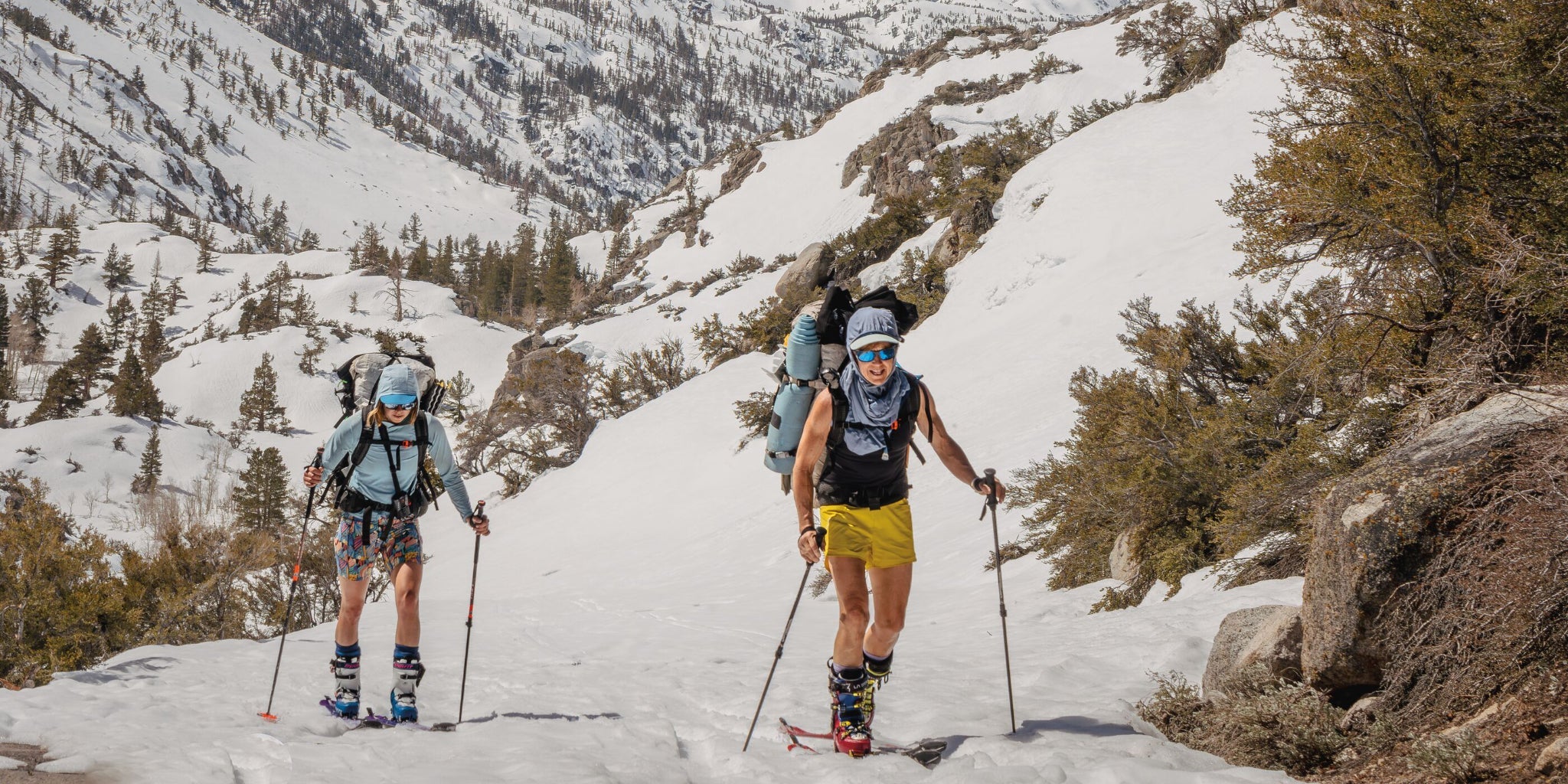 Women's Hiking Shorts