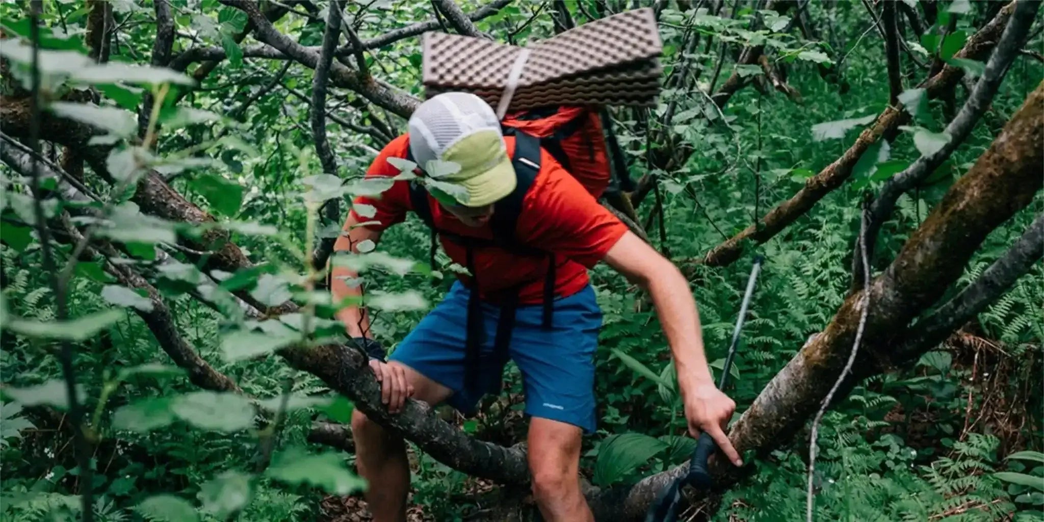 Men's Hiking - Patagonia Bend