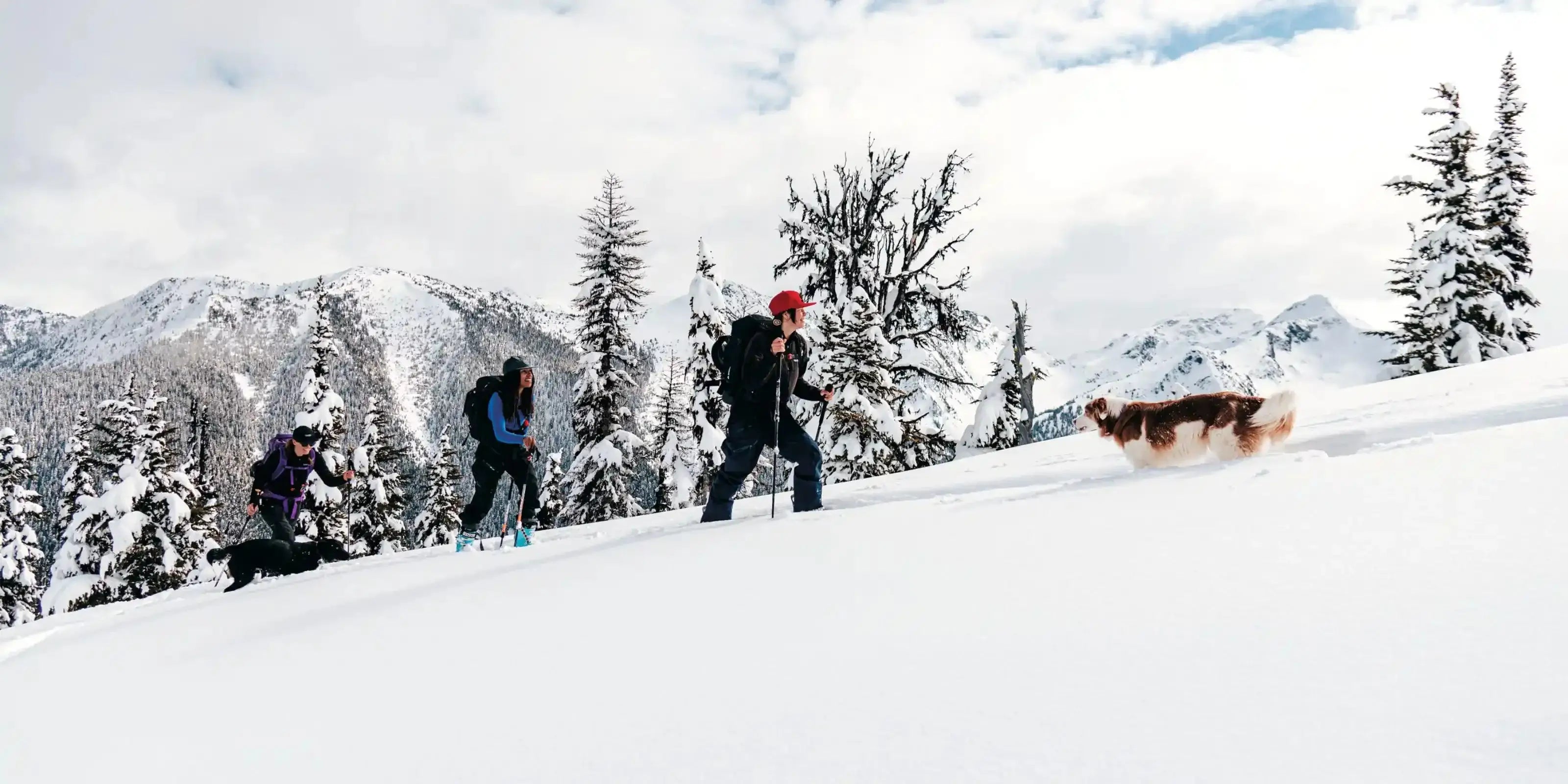 Men's Midlayers - Patagonia Bend