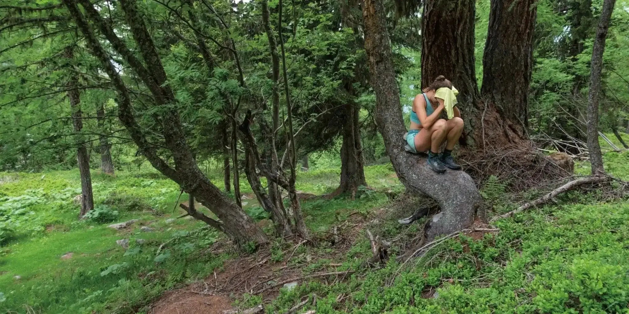 New Arrivals Women's Socks and Underwear - Patagonia Bend