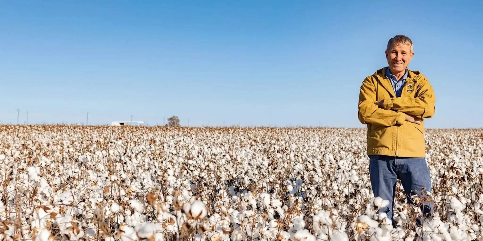 Organic Cotton - Patagonia Bend
