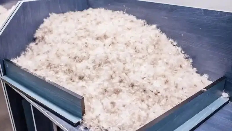 Recycled Down - Patagonia Bend