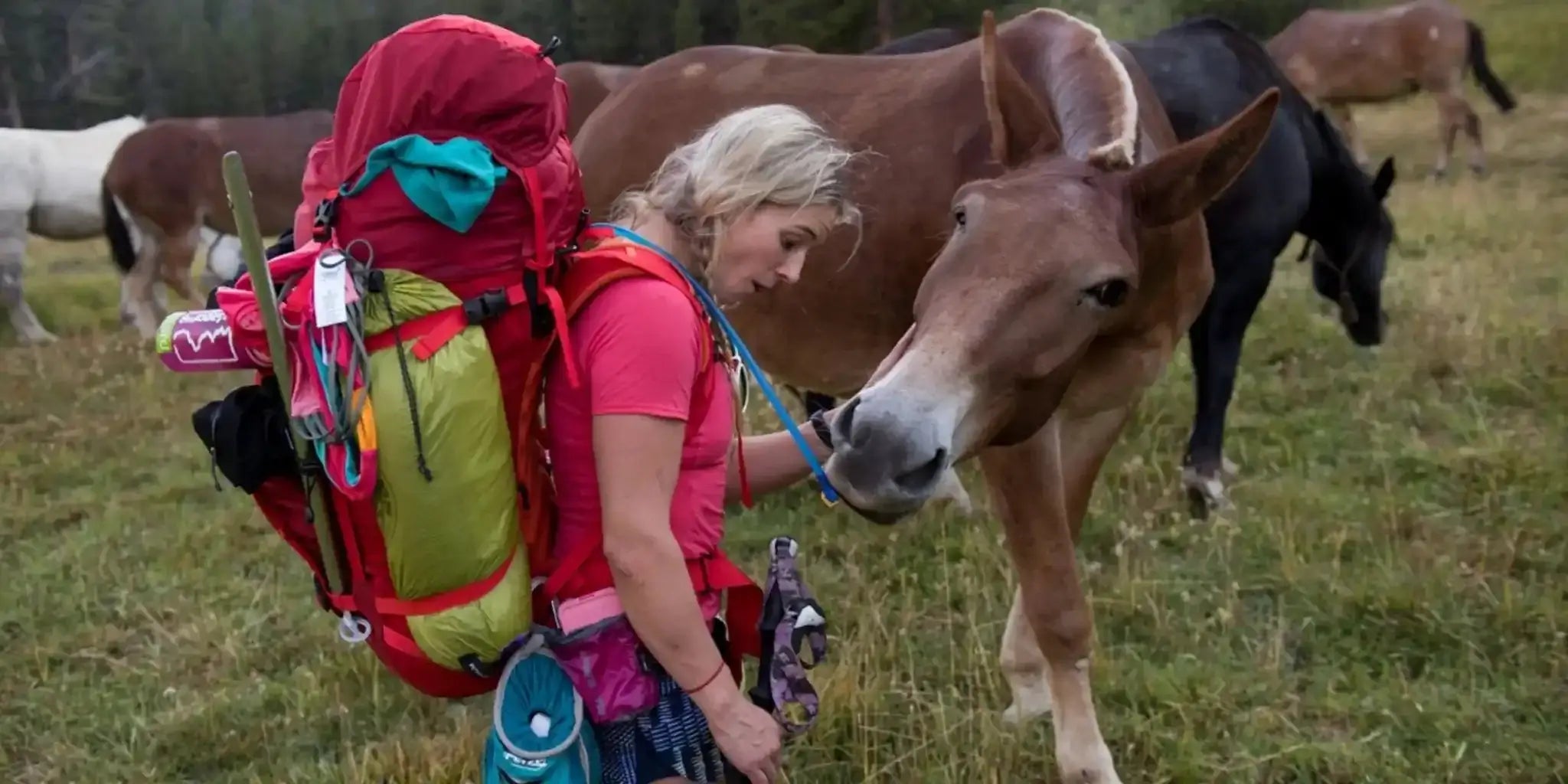 Women's Hiking - Patagonia Bend