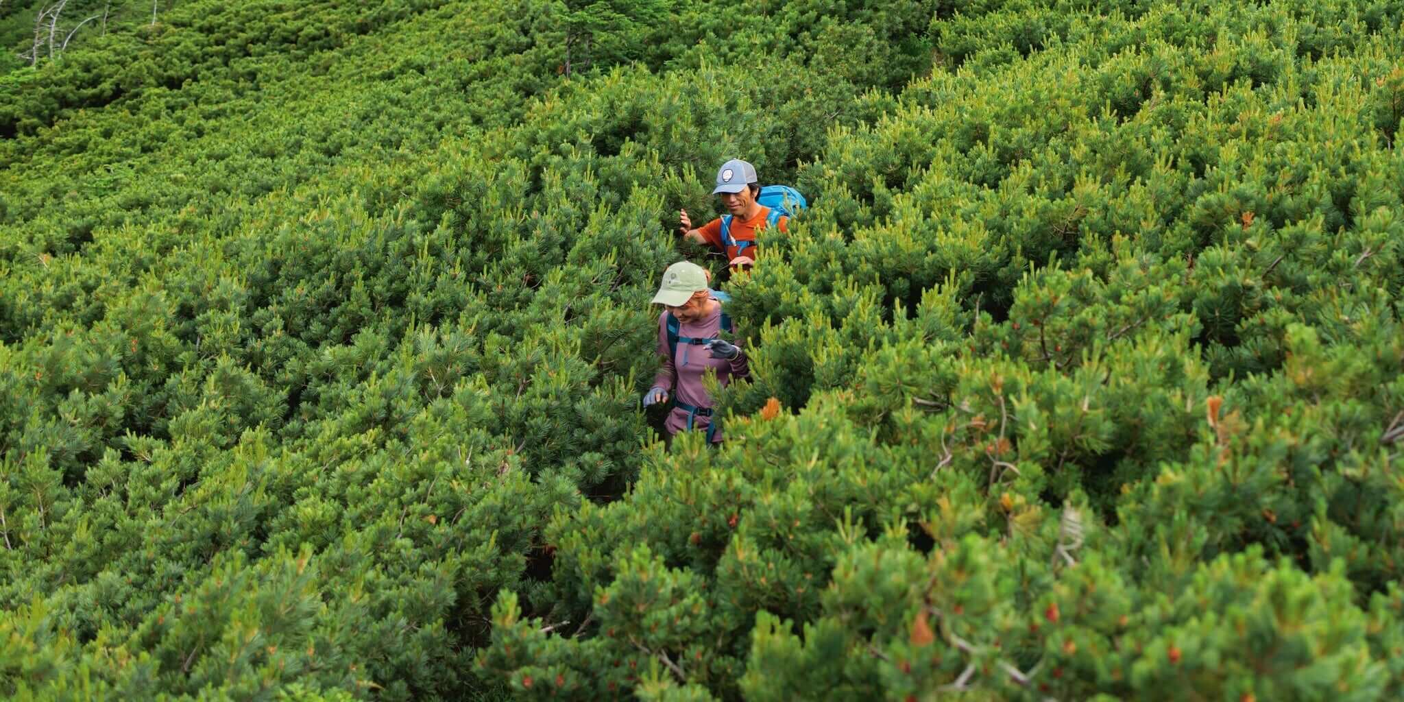 Women's Hiking Pants - Patagonia Bend