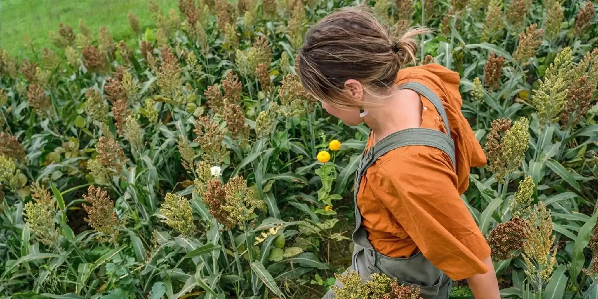 Women's Overalls & Jumpsuits - Patagonia Bend