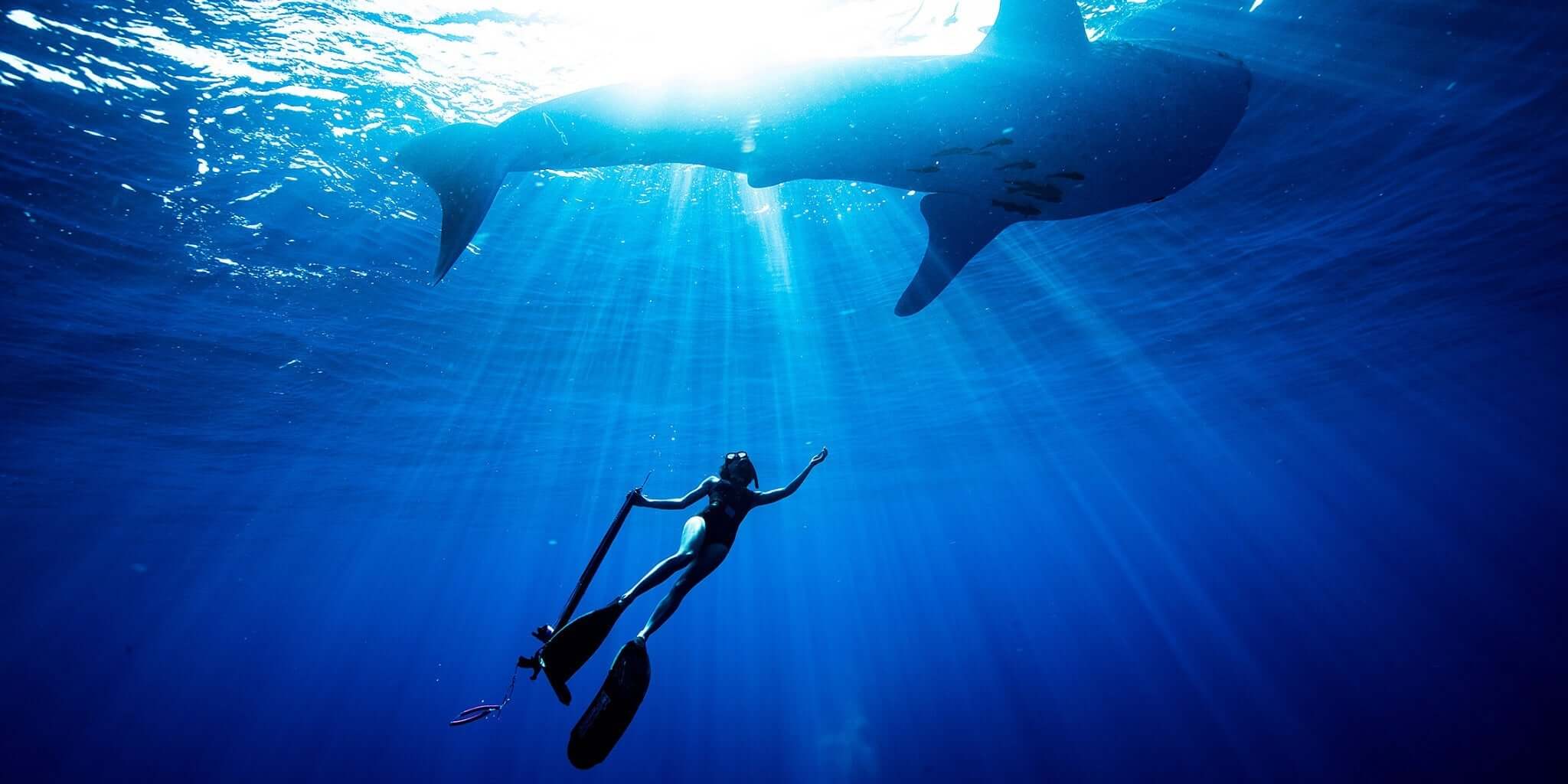 Women's Two-Piece Bikini Bottoms - Patagonia Bend