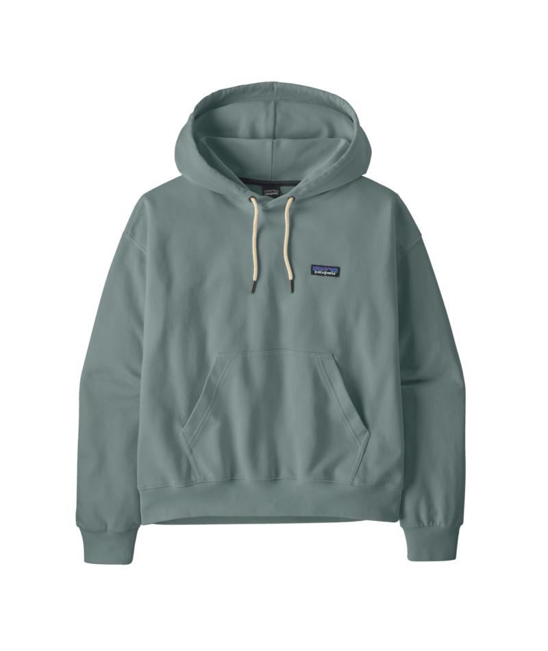 Women's Daily Hoody in Blue Sage | Photo 1 | Patagonia