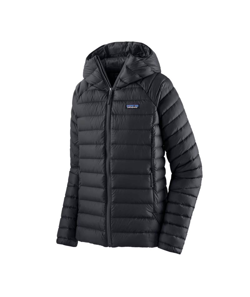 Women's Down Sweater Hoody in Black | Photo 1 | Patagonia