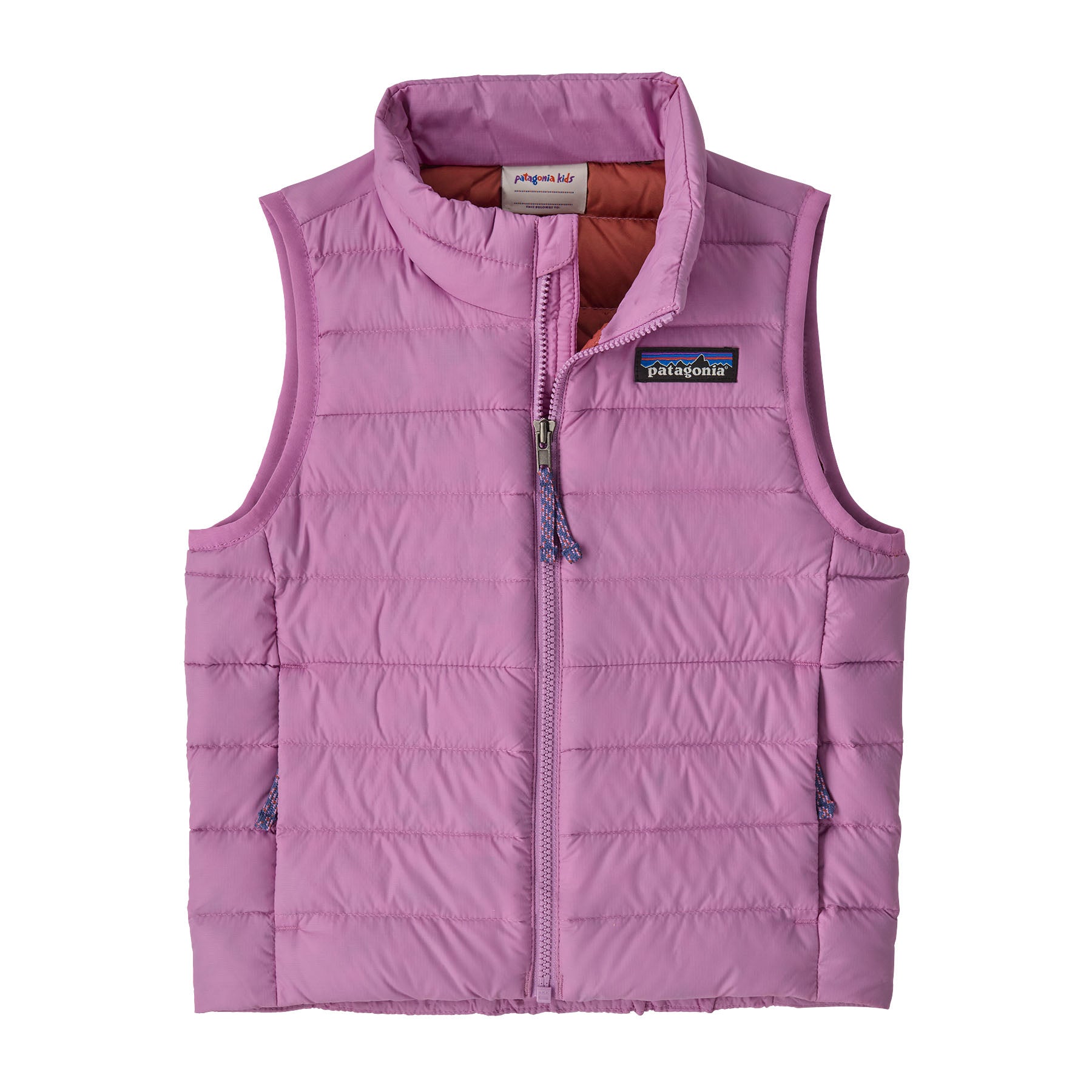 Baby Down Sweater Vest in Brisk Purple | Patagonia Bend