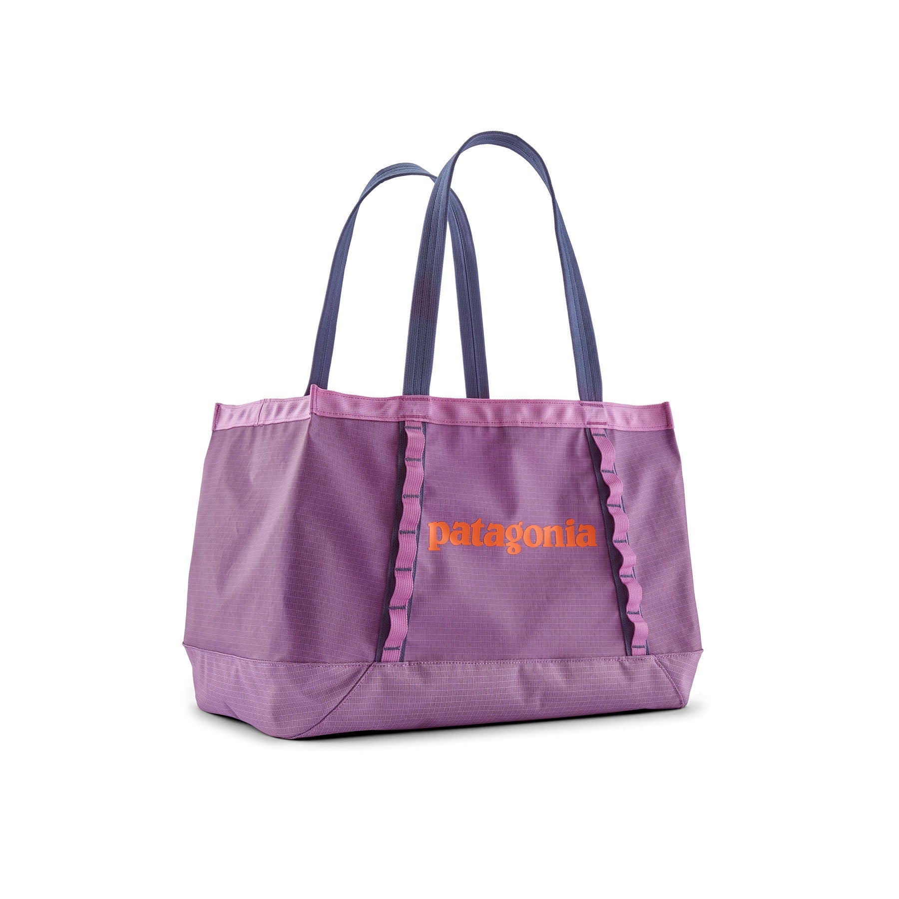Black Hole Tote 25L in Brisk Purple | Patagonia Bend
