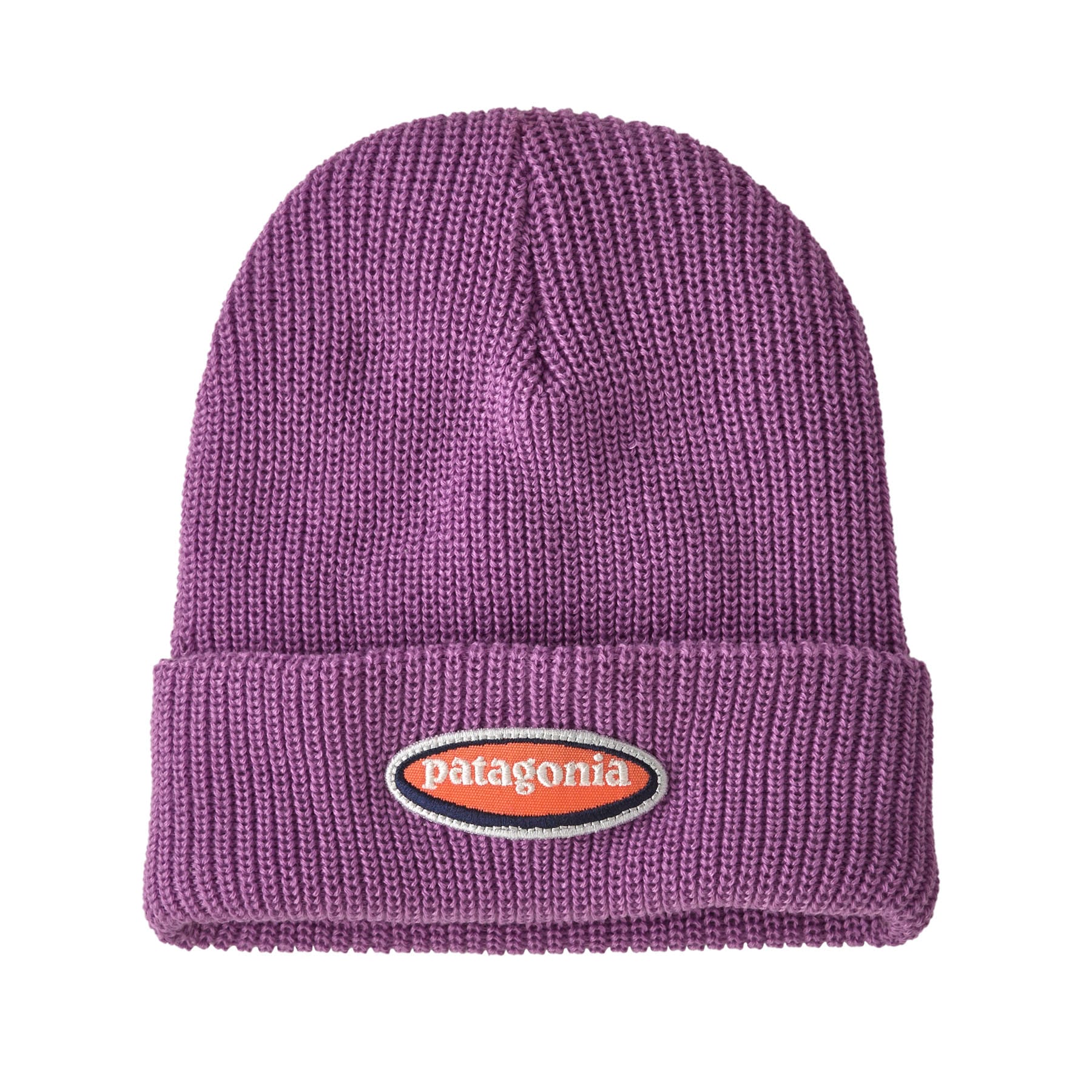 Kid's Logo Beanie in Oval Logo: Brisk Purple | Patagonia Bend