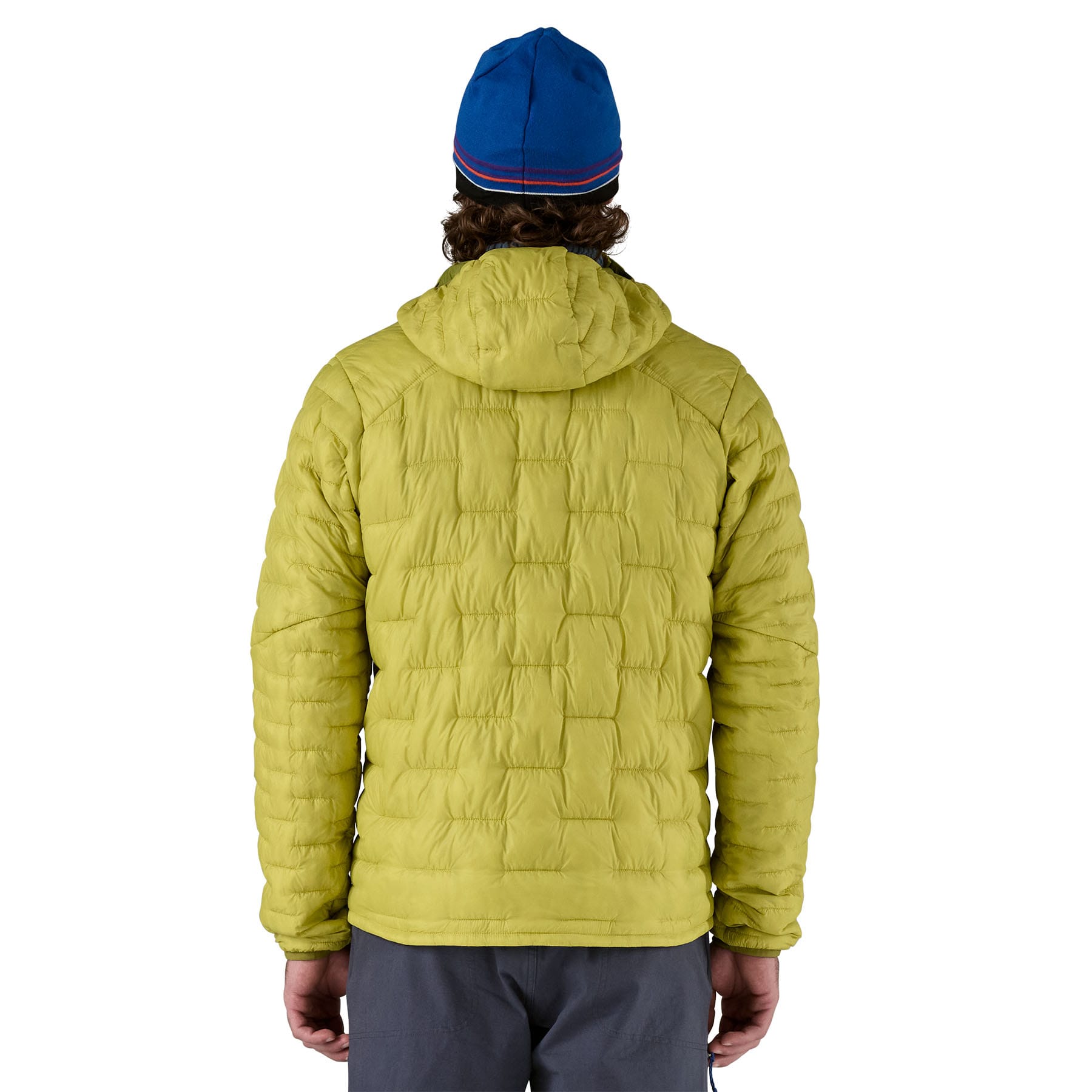 Men's Micro Puff Hoody in Bundle Green | Patagonia Bend