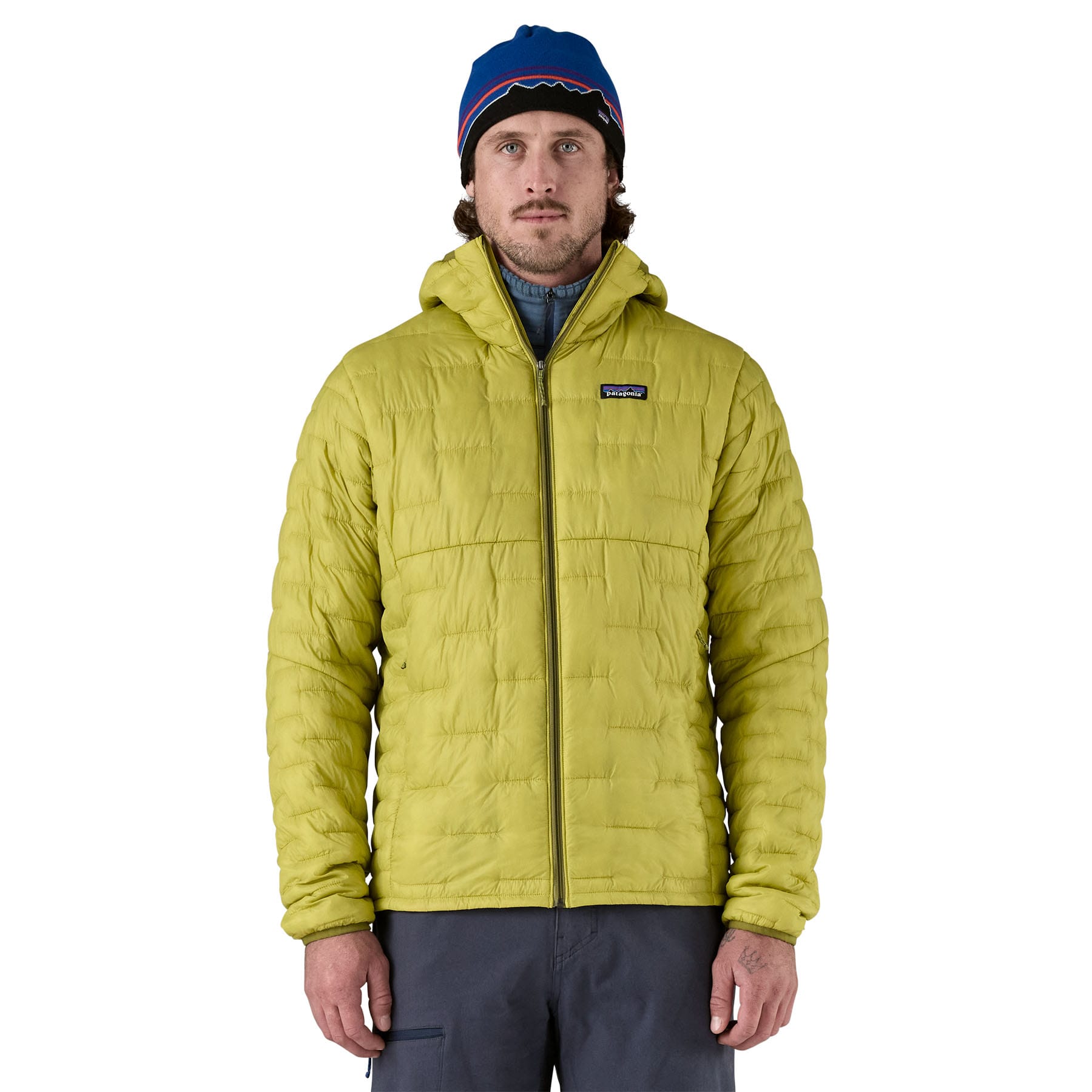Men's Micro Puff Hoody in Bundle Green | Patagonia Bend