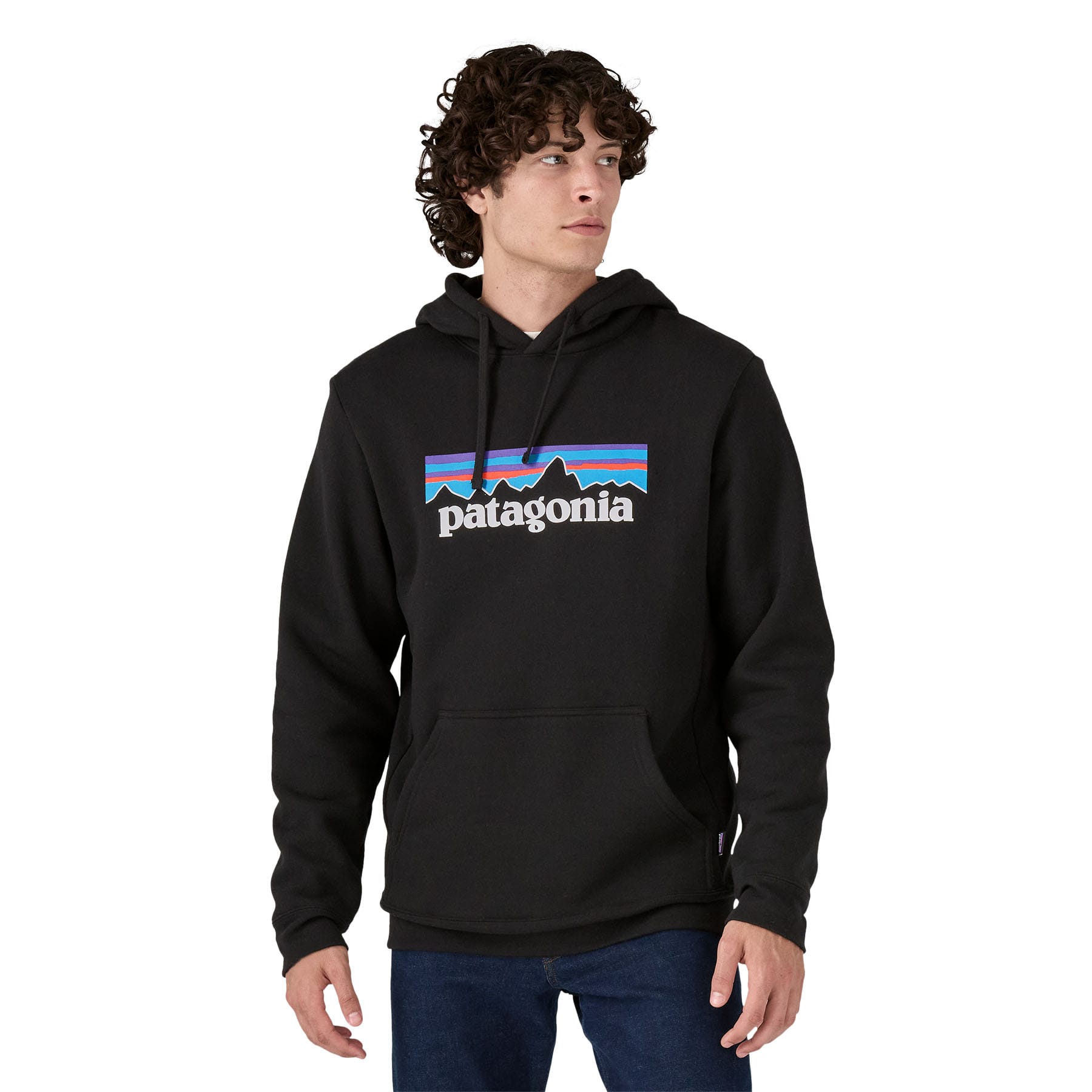 P - 6 Logo Uprisal Hoody in Black | Patagonia Bend
