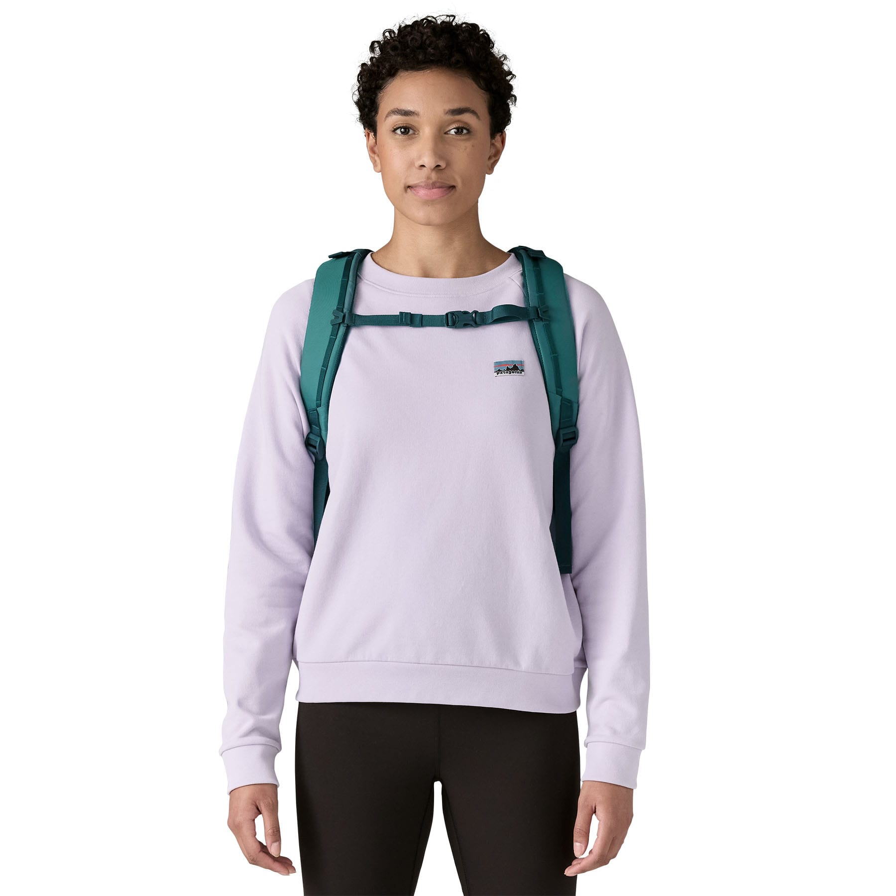 Refugio Day Pack 30L in Wetland Blue | Patagonia Bend