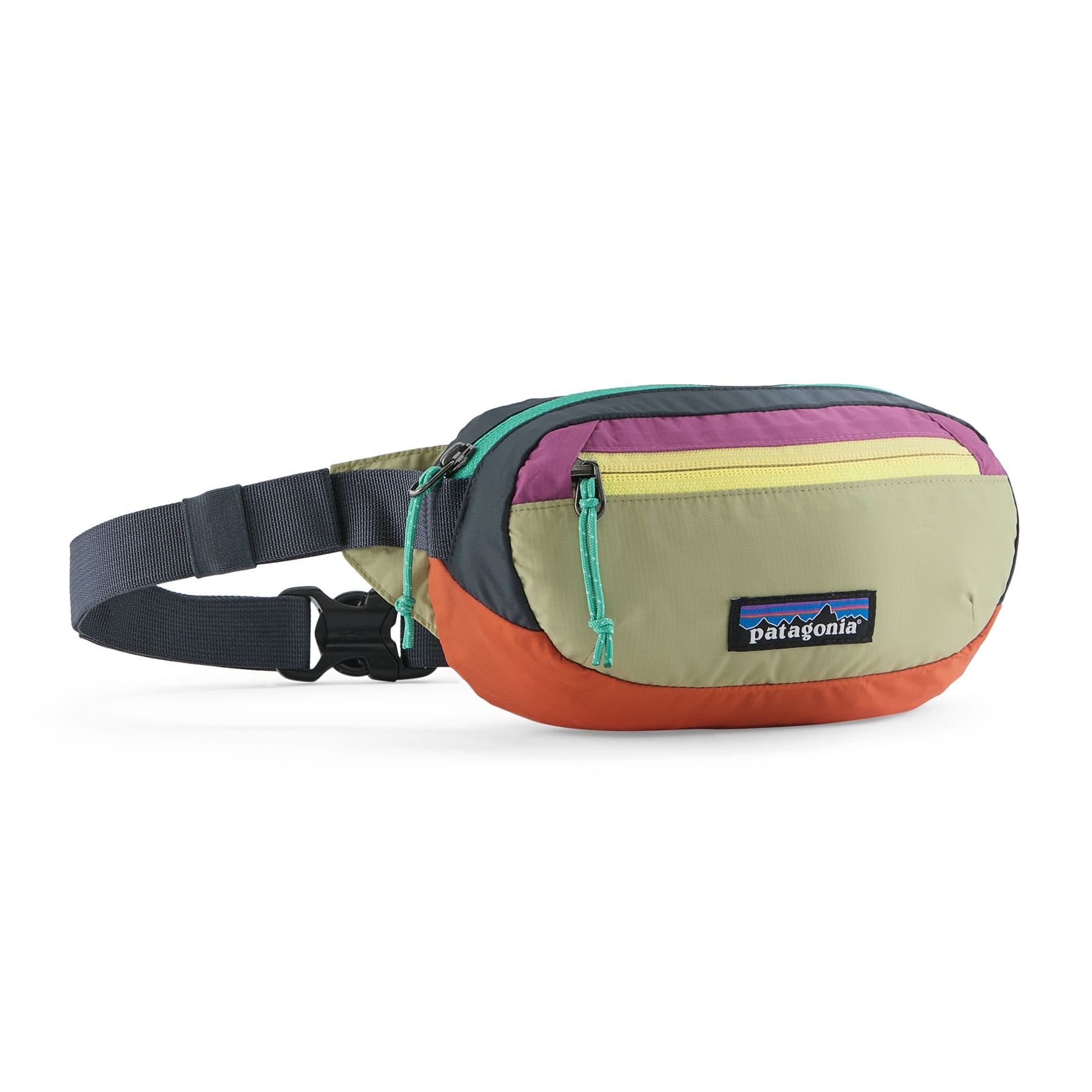 Terravia Mini Hip Pack 1L in Patchwork: Gumtree Green | Patagonia Bend