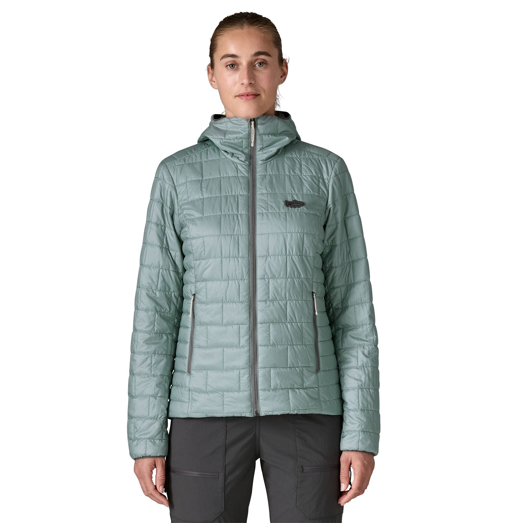 Women's Nano Puff Fitz Roy Trout Hoody in Thermal Blue | Patagonia Bend