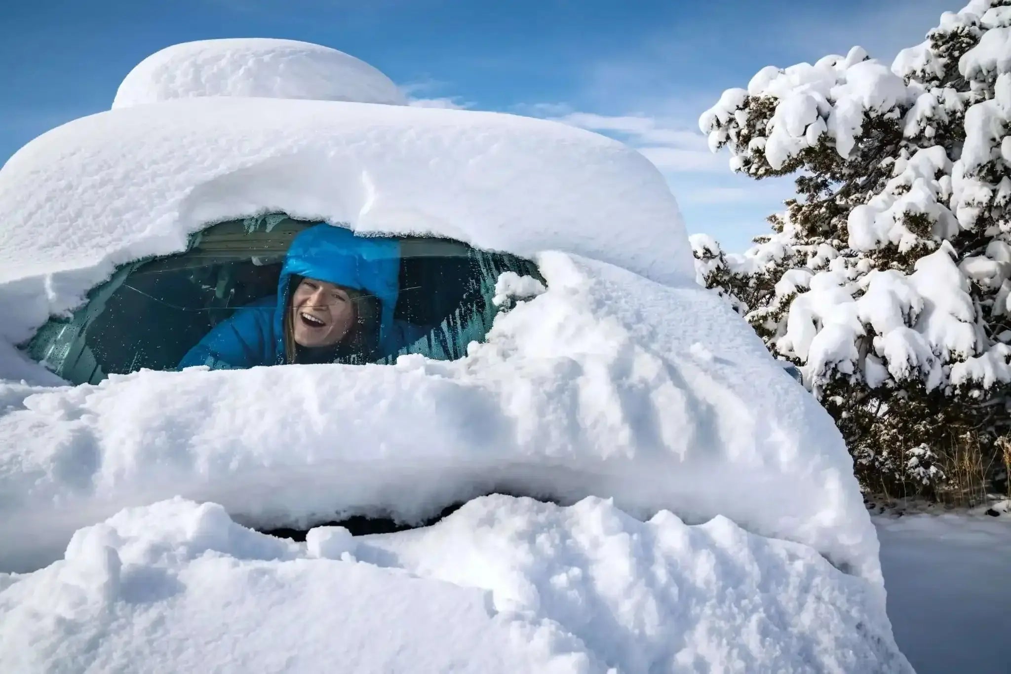 Down sweaters on sale hot sale