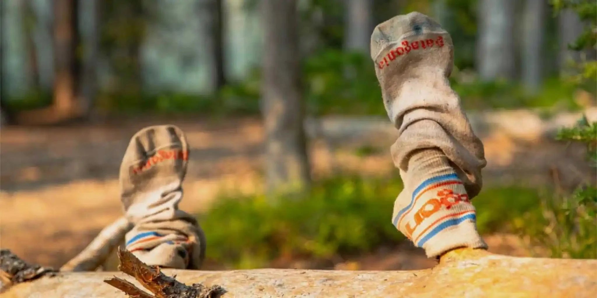 Women's Socks made by Patagonia