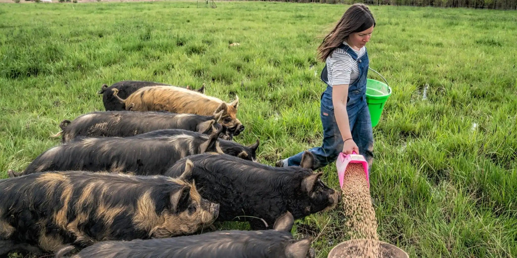 Women's Dresses, Jumpsuits & Overalls - Patagonia Bend