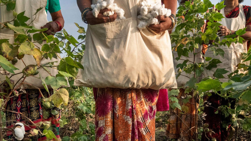 Regenerative Organic Certified® Cotton