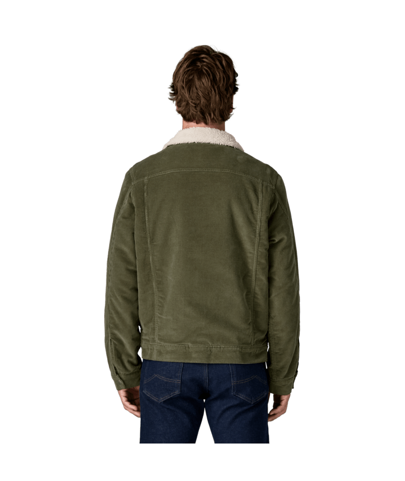 Men's Pile Lined Trucker Jacket in Basin Green | Photo 6 | Patagonia