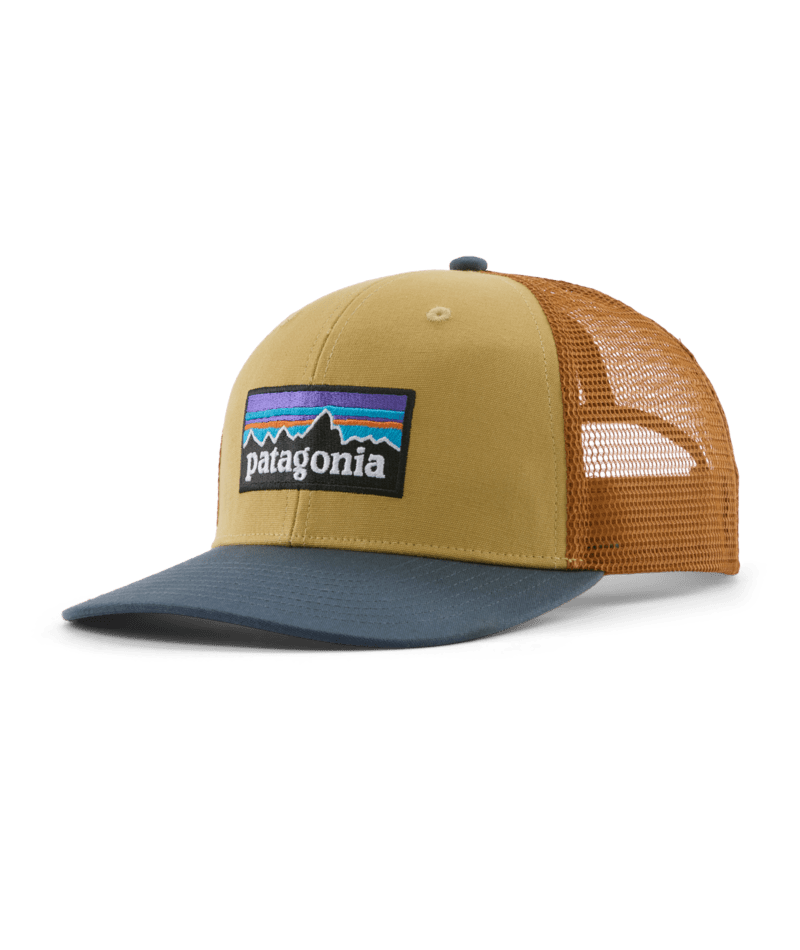 P-6 Logo Trucker Hat in Lynx Tan | Photo 1 | Patagonia