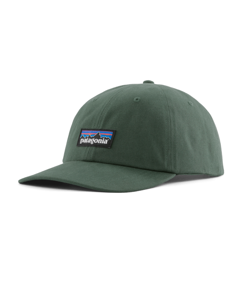 P-6 Label Trad Cap in Canopy Green | Photo 1 | Patagonia