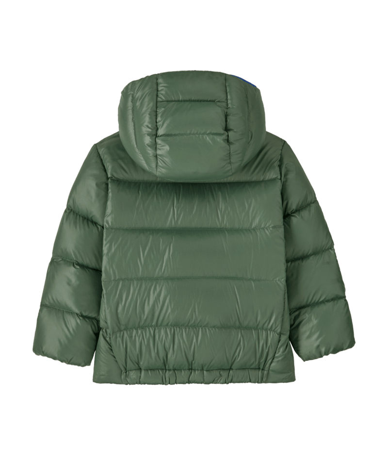 Baby Hi-Loft Down Sweater Hoody in Canopy Green | Photo 2 | Patagonia