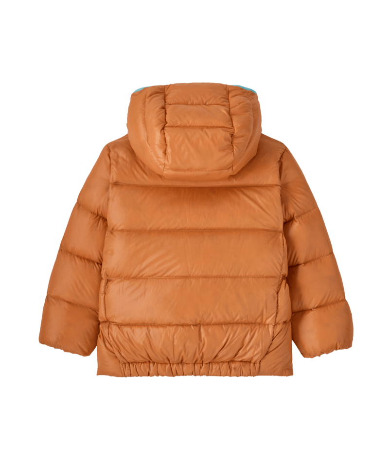 Baby Hi-Loft Down Sweater Hoody in MARIGOLD | Photo 2 | Patagonia