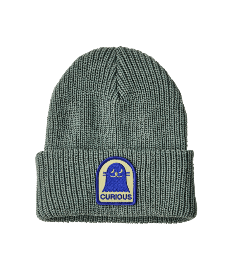 Baby Logo Beanie in Curious Seal Patch: Cover Green | Photo 1 | Patagonia