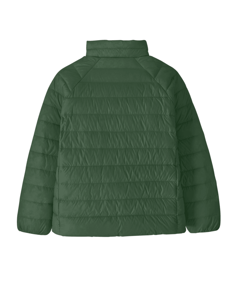 Kids' Down Sweater in Canopy Green | Photo 2 | Patagonia