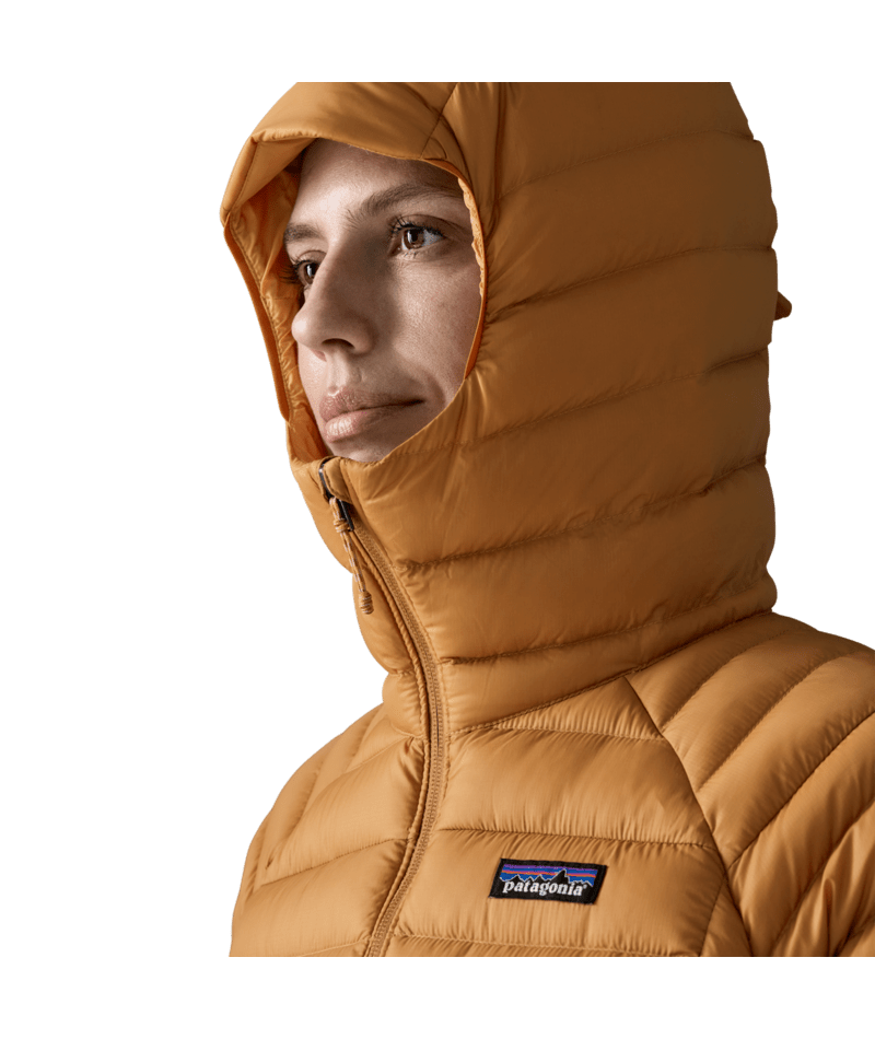 Women's Down Sweater Hoody in Cinnamon Brown | Photo 6 | Patagonia