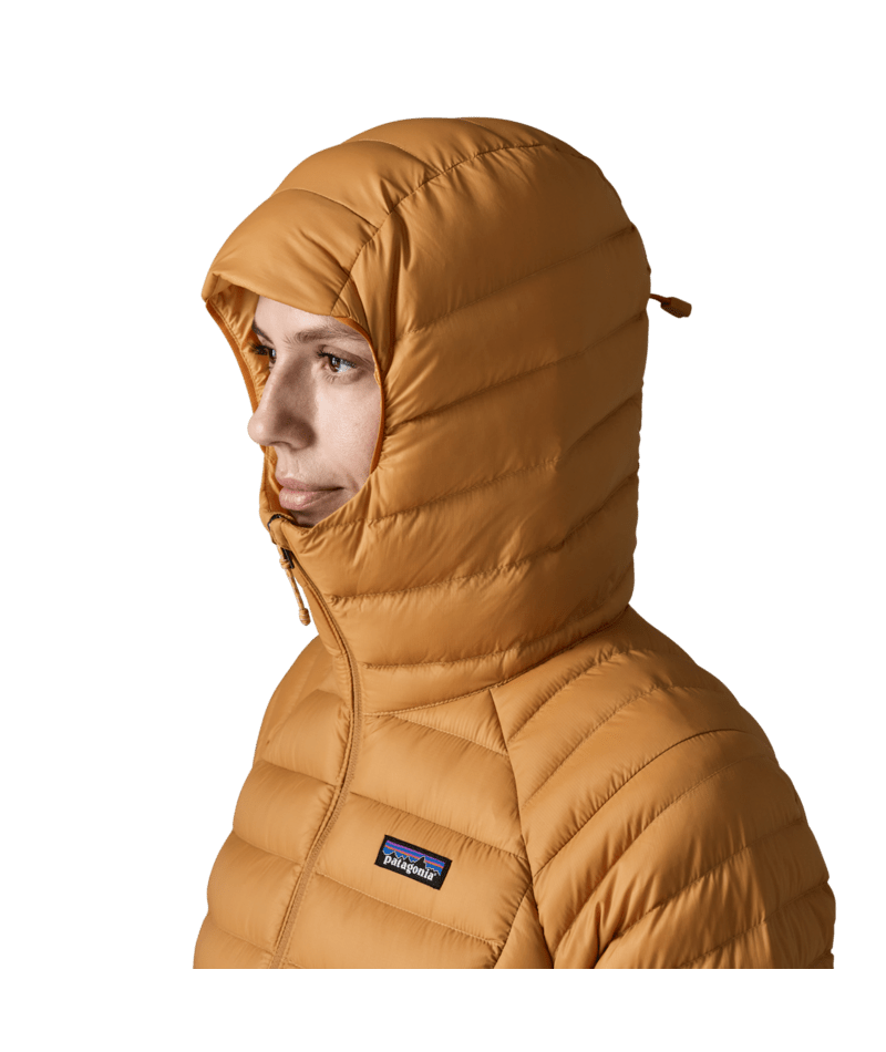Women's Down Sweater Hoody in Cinnamon Brown | Photo 9 | Patagonia
