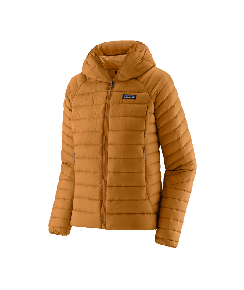 Women's Down Sweater Hoody in Cinnamon Brown | Photo 1 | Patagonia