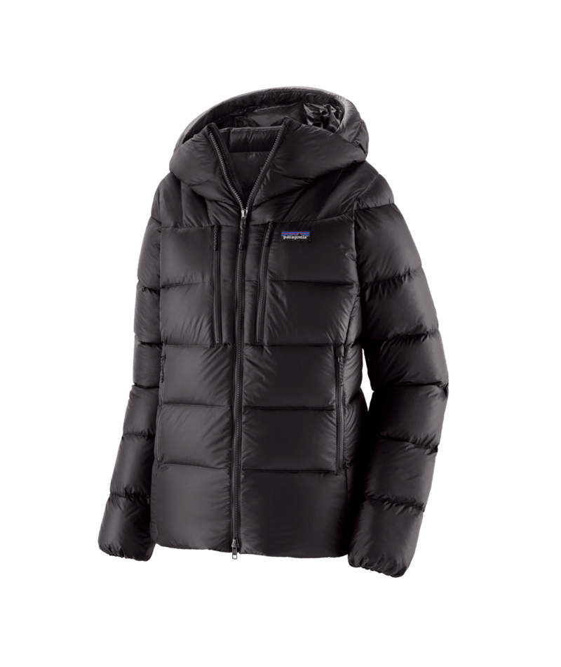 Women's Fitz Roy Down Hoody in Black | Photo 1 | Patagonia