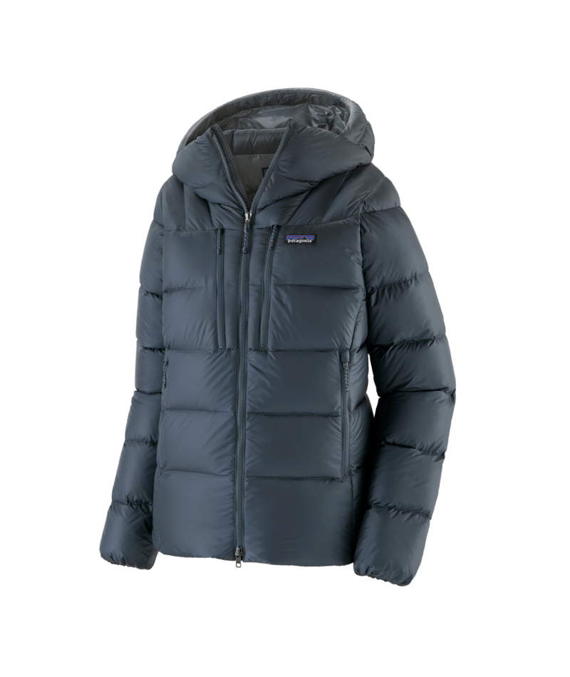 Women's Fitz Roy Down Hoody in Summit Blue | Photo 1 | Patagonia