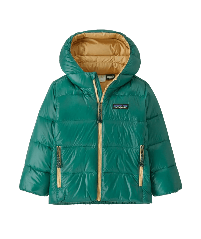 Baby Hi - Loft Down Sweater Hoody in Conifer Green | Patagonia Bend