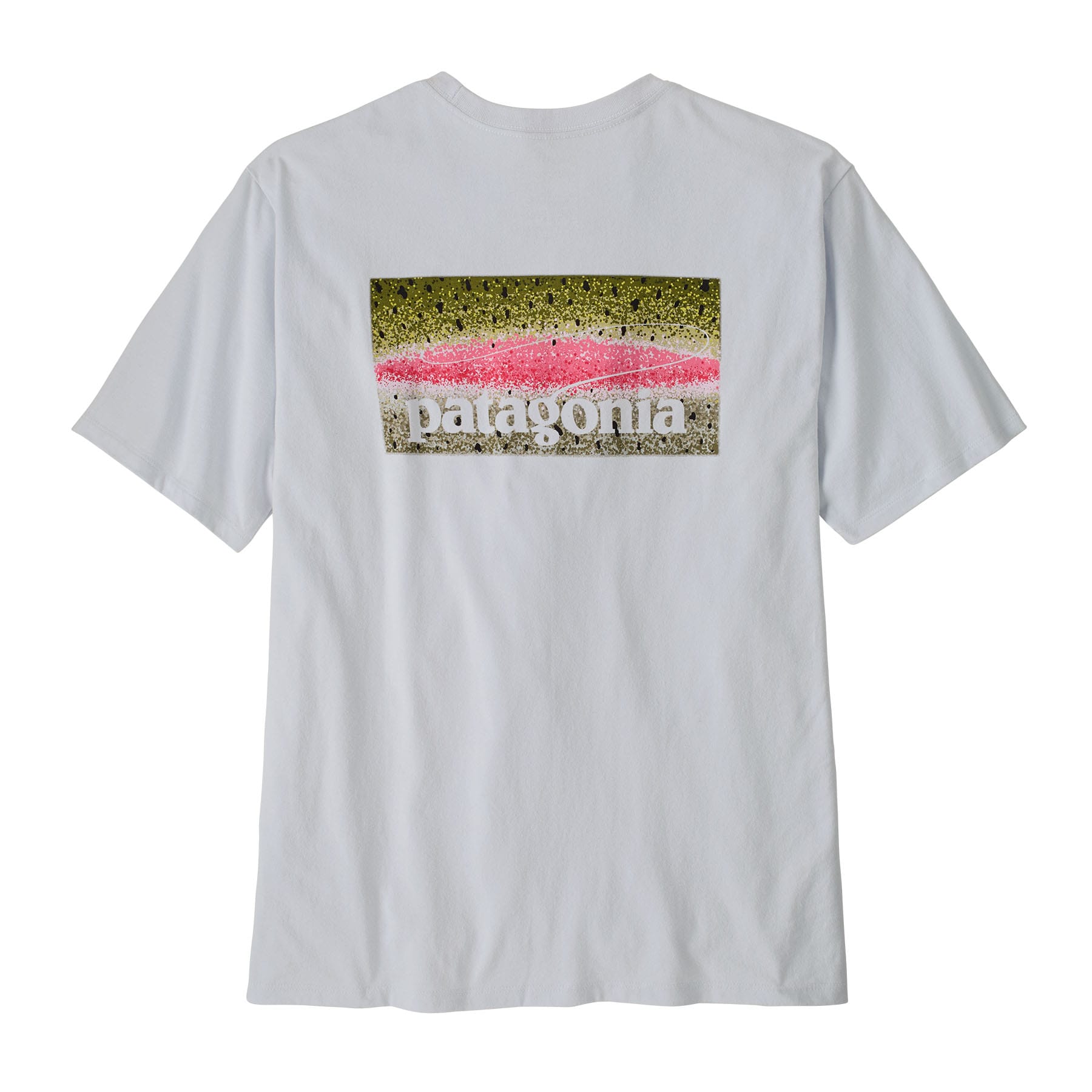 Men's Take a Stand Responsibili - Tee in Rainbow Run: White | Patagonia Bend