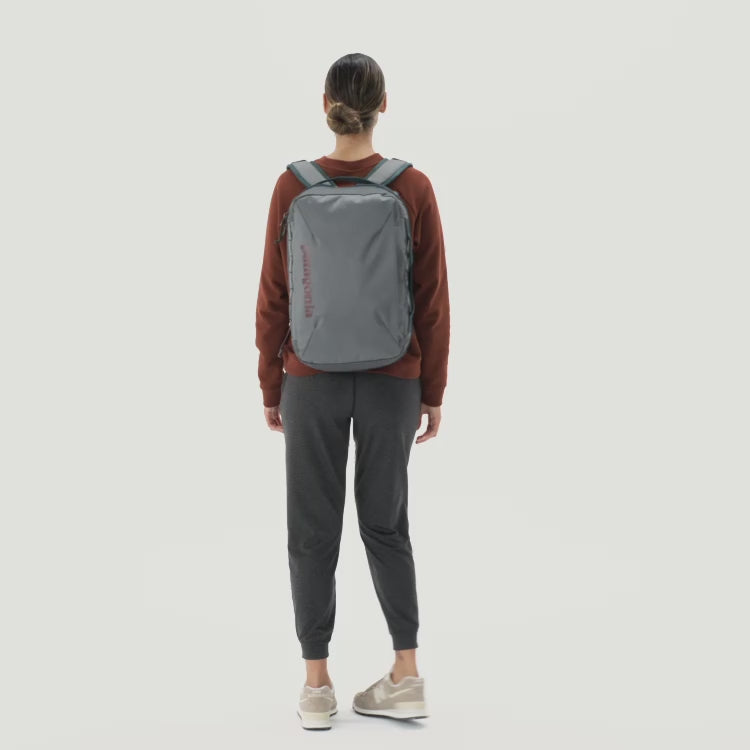Patagonia Black Hole® Micro MLC® Backpack 22L