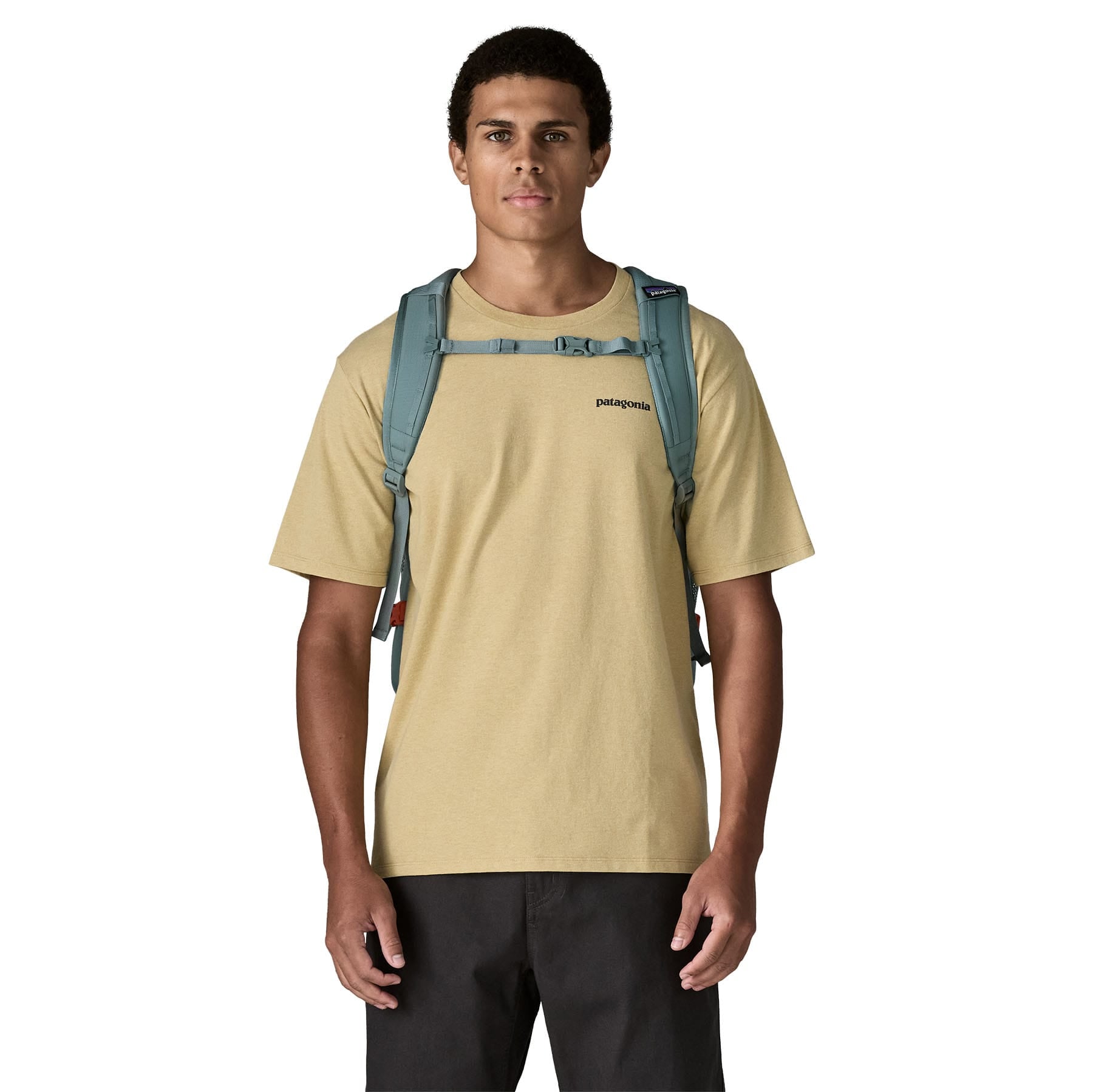 Refugio Day Pack 30L in Blue Sage | Patagonia Bend