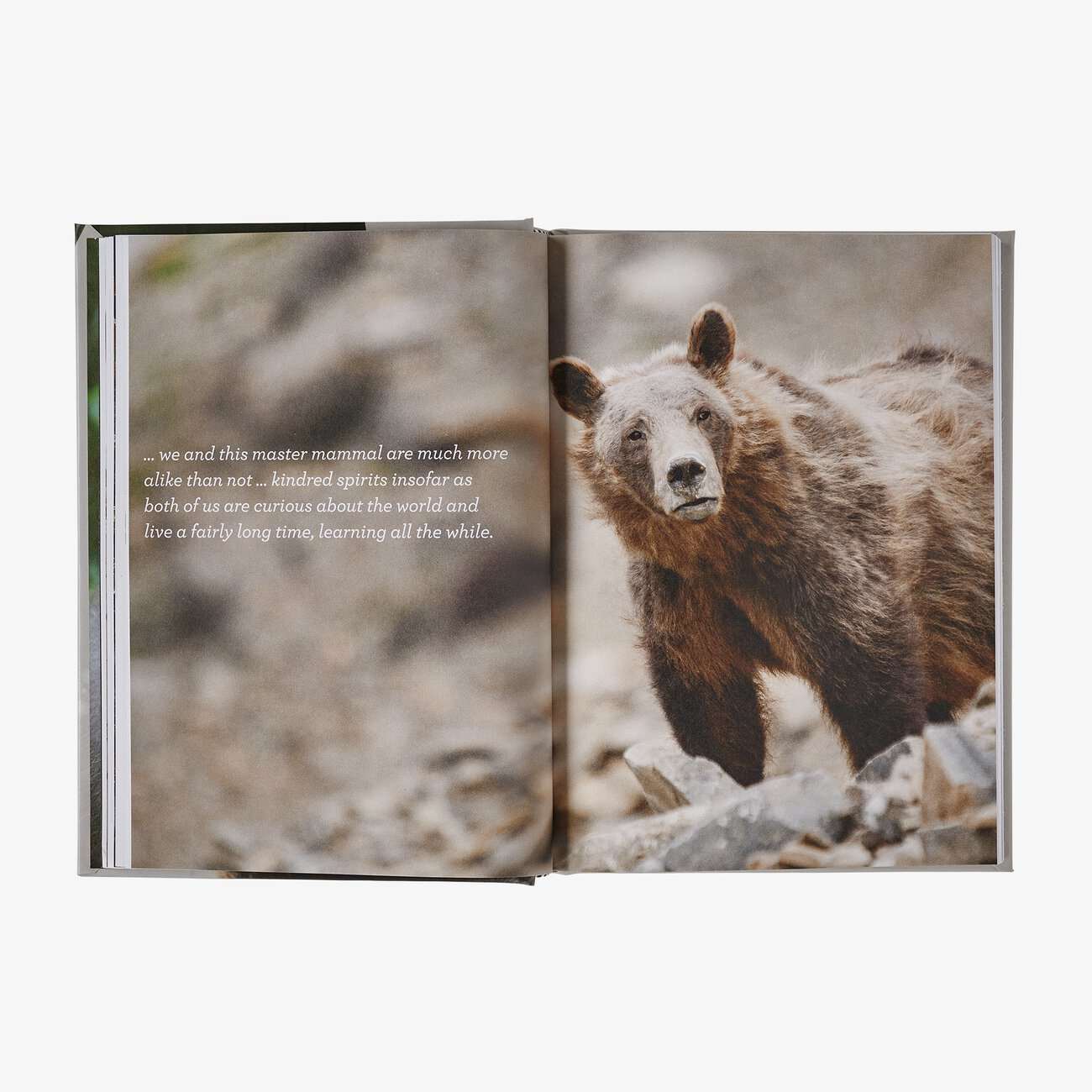 Four Fifths a Grizzly: A New Perspective on Nature that Just Might Save Us All (By Douglas Chadwick)